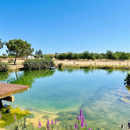 Glamping On Organic Yoga Farm With Natural Swimming Pool Near Beach Moncarapacho Eksteriør billede