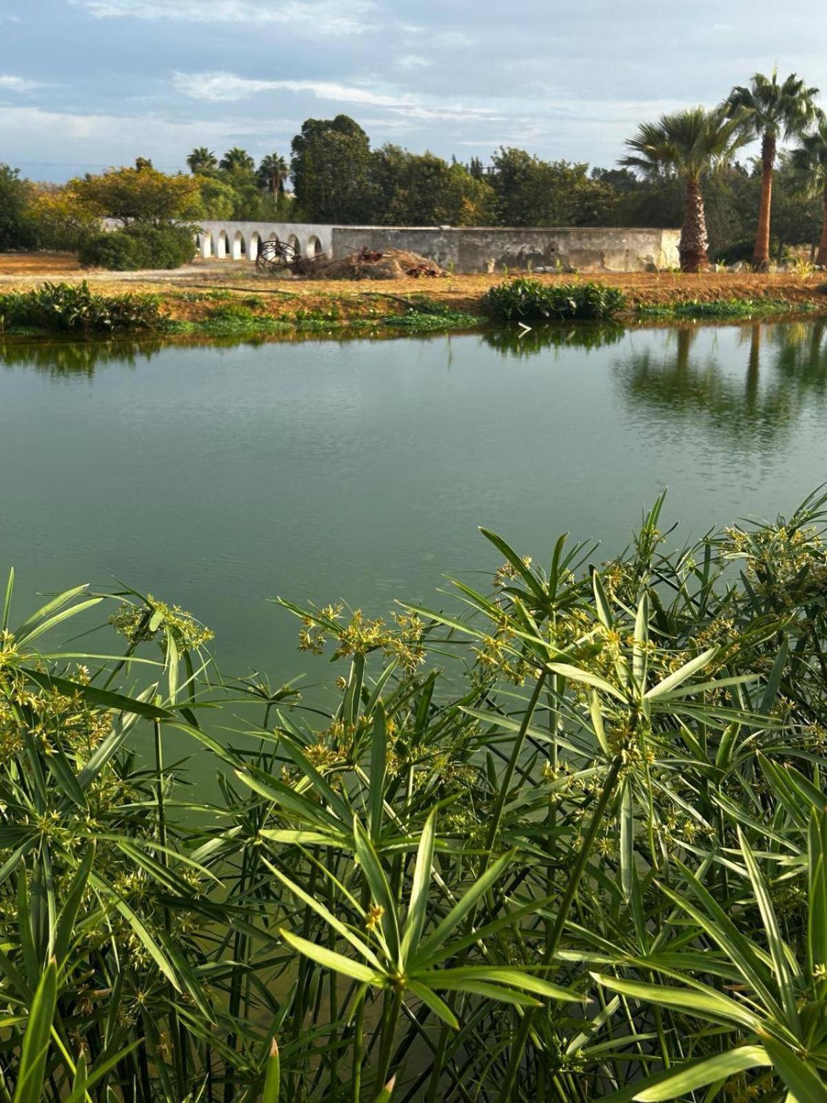 Glamping On Organic Yoga Farm With Natural Swimming Pool Near Beach Moncarapacho Eksteriør billede