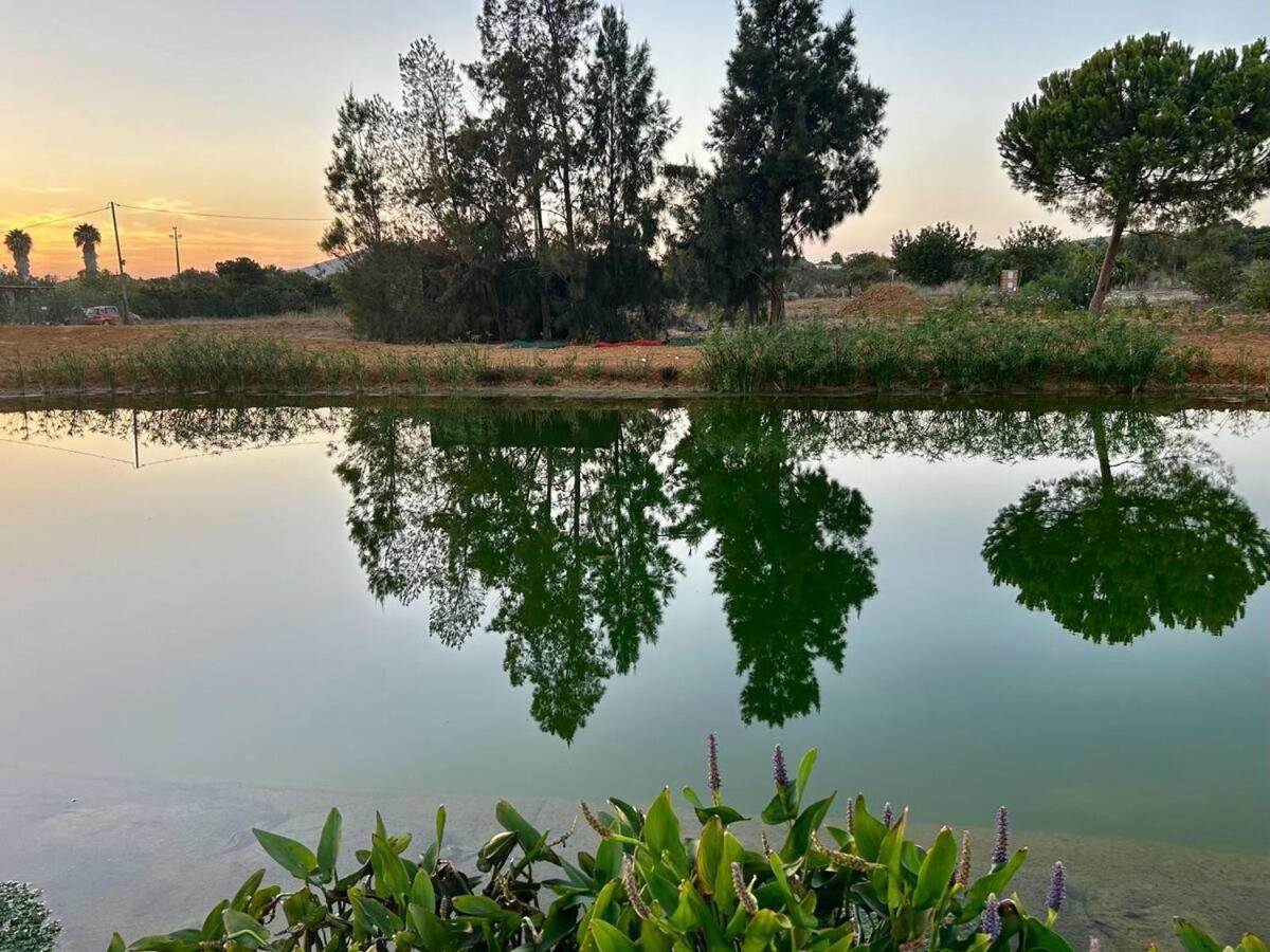 Glamping On Organic Yoga Farm With Natural Swimming Pool Near Beach Moncarapacho Eksteriør billede