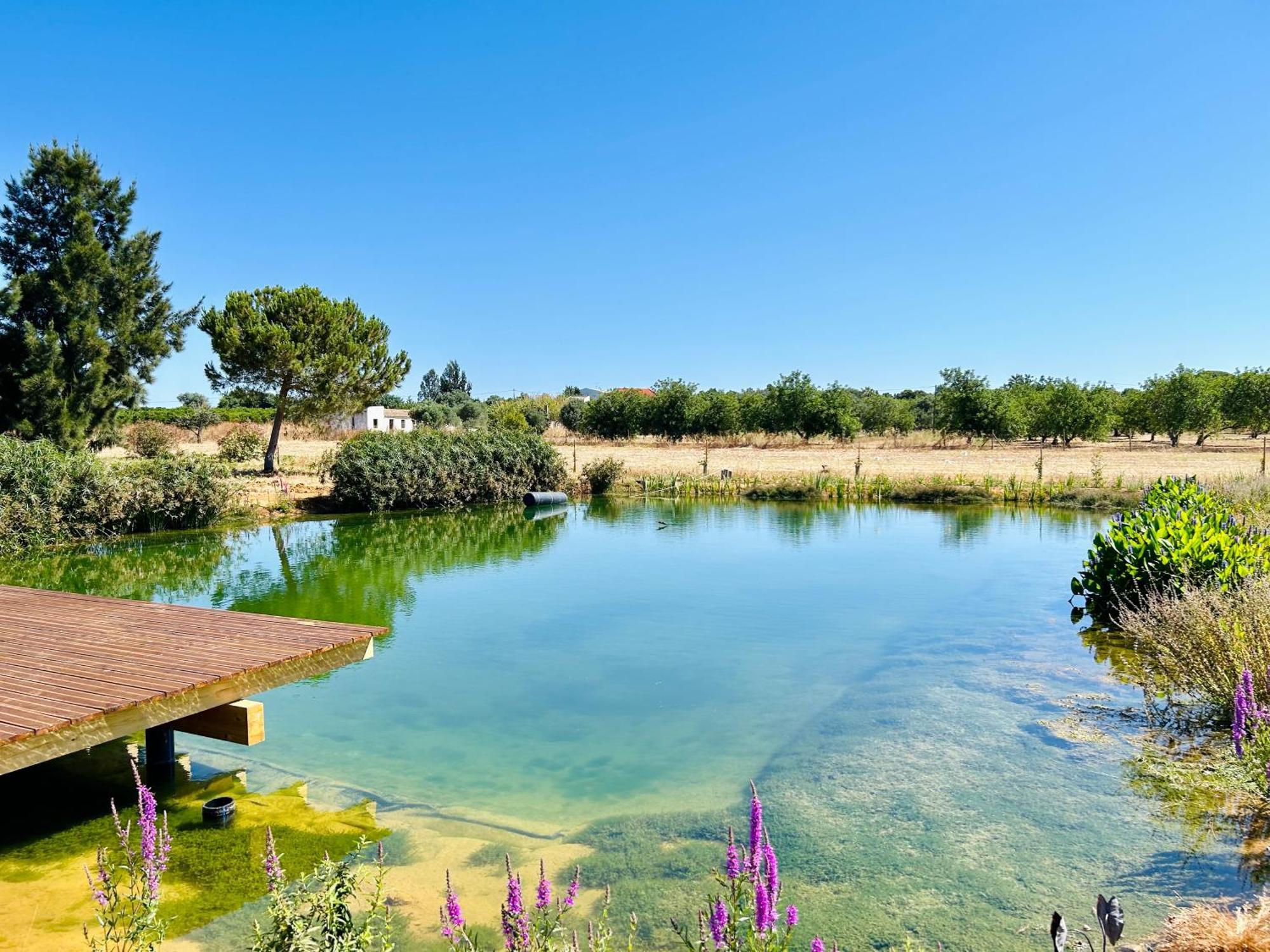 Glamping On Organic Yoga Farm With Natural Swimming Pool Near Beach Moncarapacho Eksteriør billede